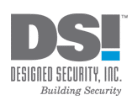 dsi_logo
